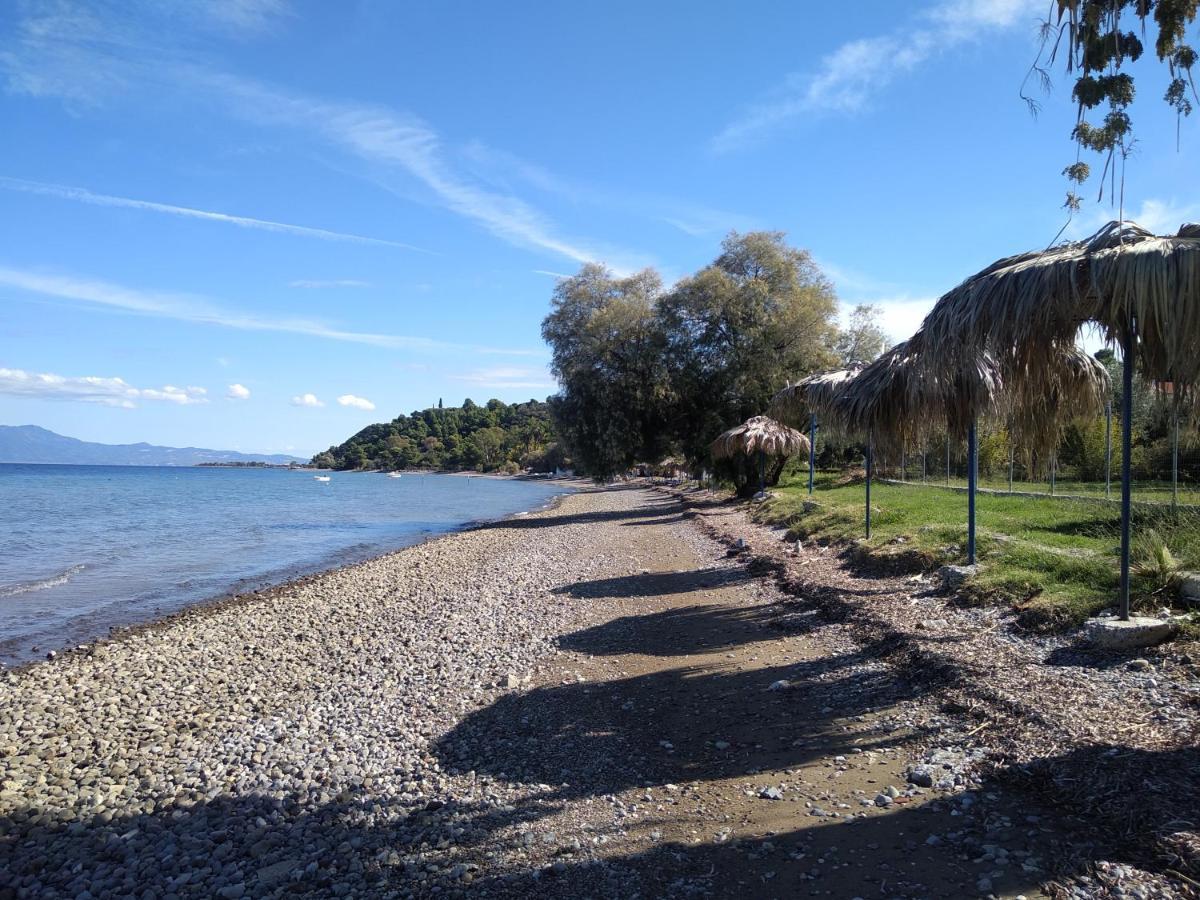Kalypso Relaxing Shelter Apartment Arkitsa Bagian luar foto