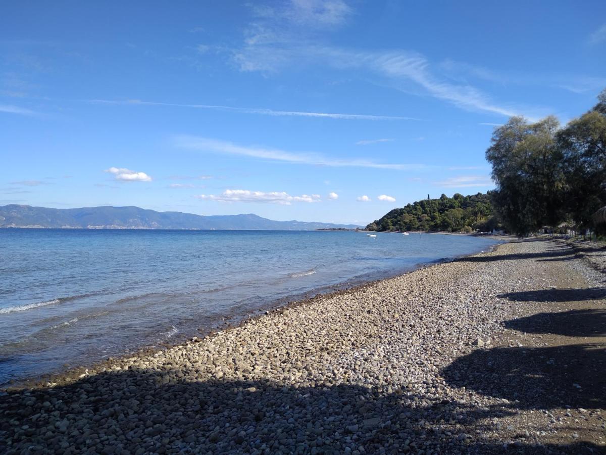 Kalypso Relaxing Shelter Apartment Arkitsa Bagian luar foto